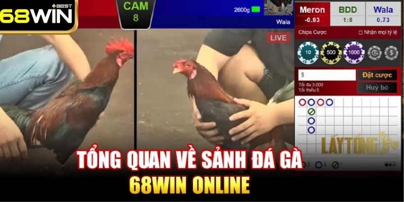 Đá Gà 68WIN - Đấu Trường Chọi Gà Uy Tín, Đẳng Cấp Nhất 2025 1 Sảnh đá gà 68WIN thu hút đông đảo thành  viên